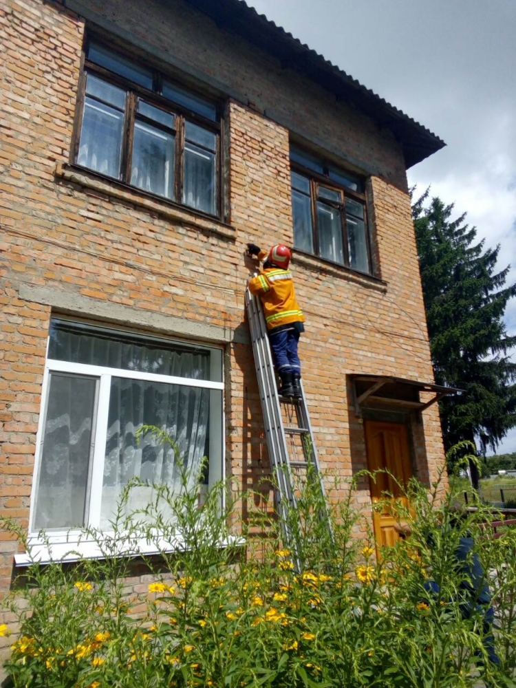 Школу на Жашківщині рятували від бджіл