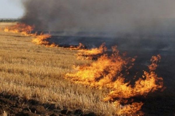 На Шполянщині рятувальники ліквідували 3 пожежі стерні