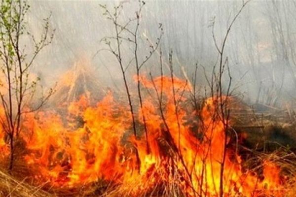 Черкаські рятувальники закликають не провокувати пожежі у природних екосистемах