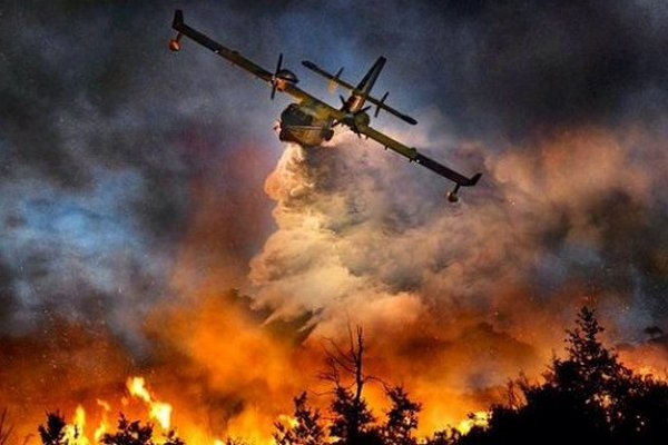 Рятувальники закликають не провокувати пожежі в природних екосистемах (ВІДЕО)
