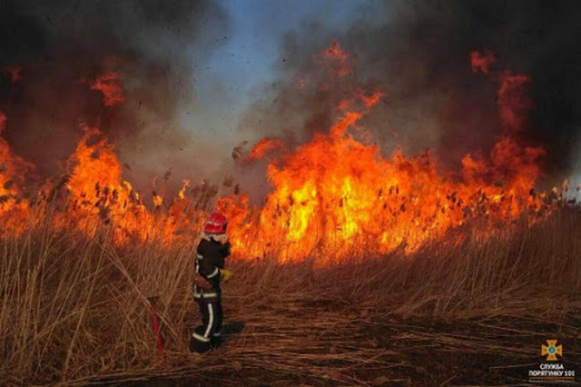 На Черкащині вигорає суха трава