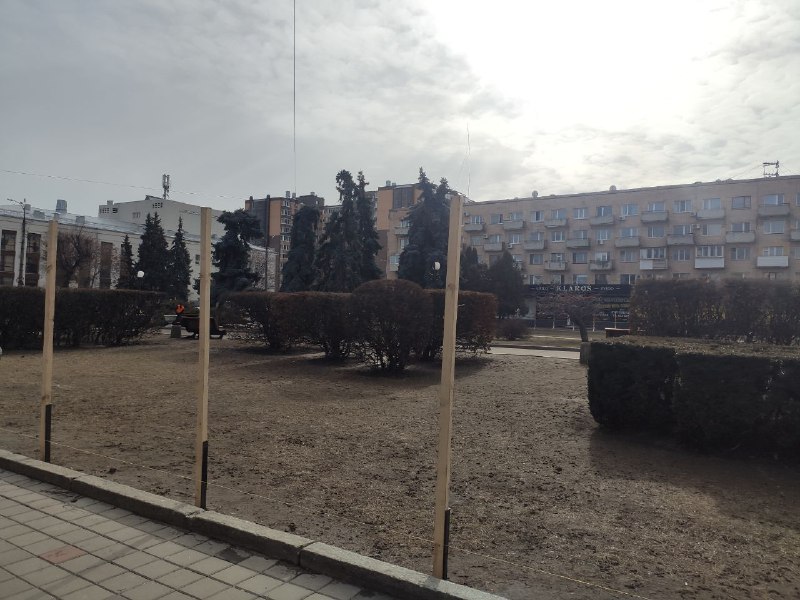 У Черкасах буде найбільший сад магнолій в Україні