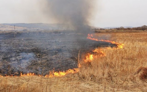 Рятувальники ліквідували масштабну пожежу трави (ВІДЕО)