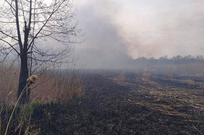 Черкаські селяни палять траву – за добу рятувальники погасили 12 пожеж