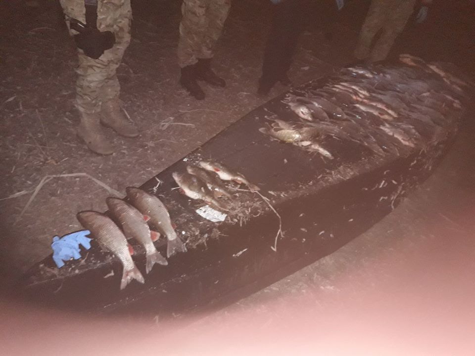 На Черкащині браконьєри наловили риби на 18 тисяч гривень