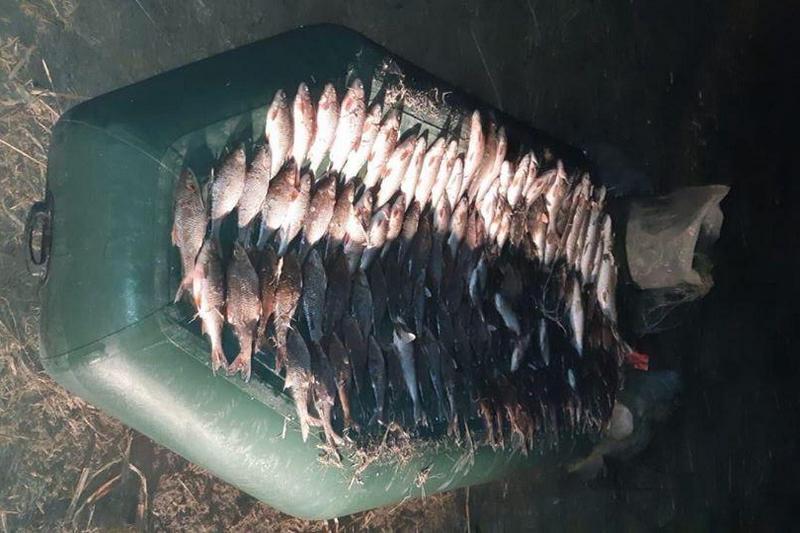 Операція «Нерест» на Черкащині: вилучено 5 кілометрів сіток і 2 тонни риби