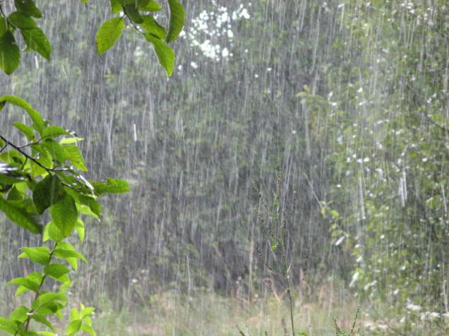 Сьогодні на Черкащині дощитиме