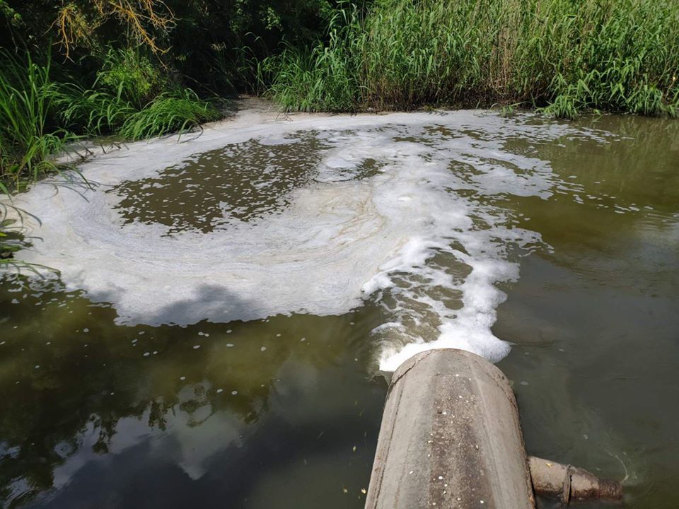 Через забруднення річки на Смілянщині загинула значна кількість риби