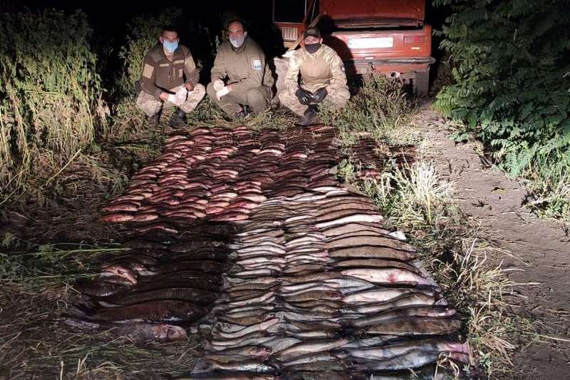 На Черкащині браконьєри наловили риби на 73 тисячі