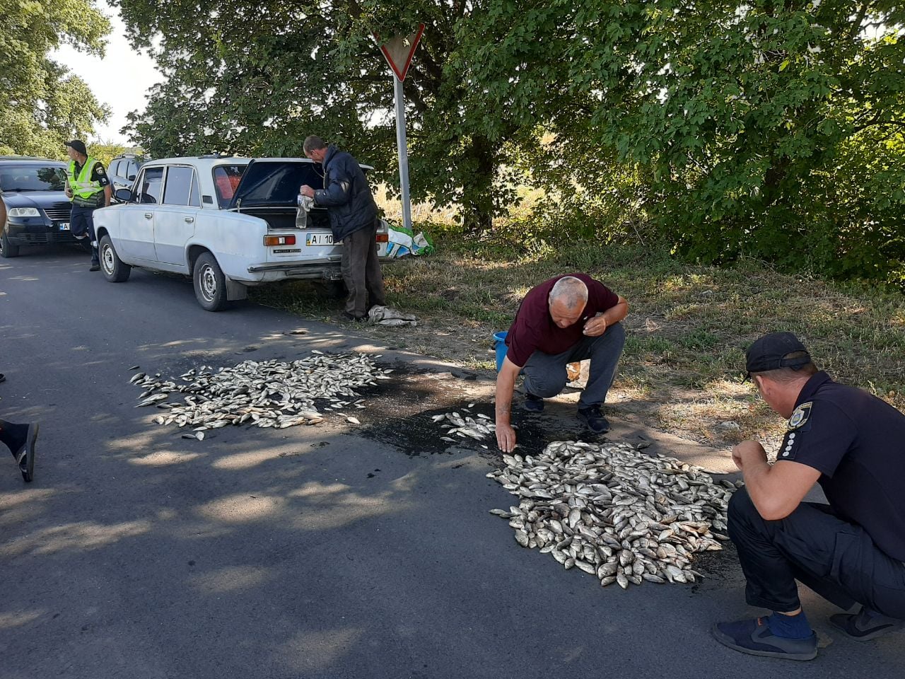 На Черкащині браконьєри виловили риби на понад 30 тисяч гривень