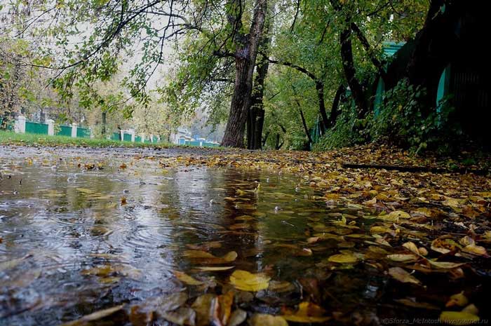 Сьогодні на Черкащині очікуються невеликі дощі