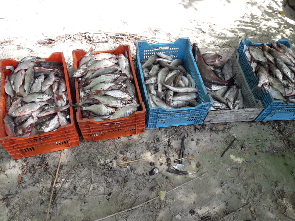 На Черкащині зафіксували незаконний промисловий вилов риби
