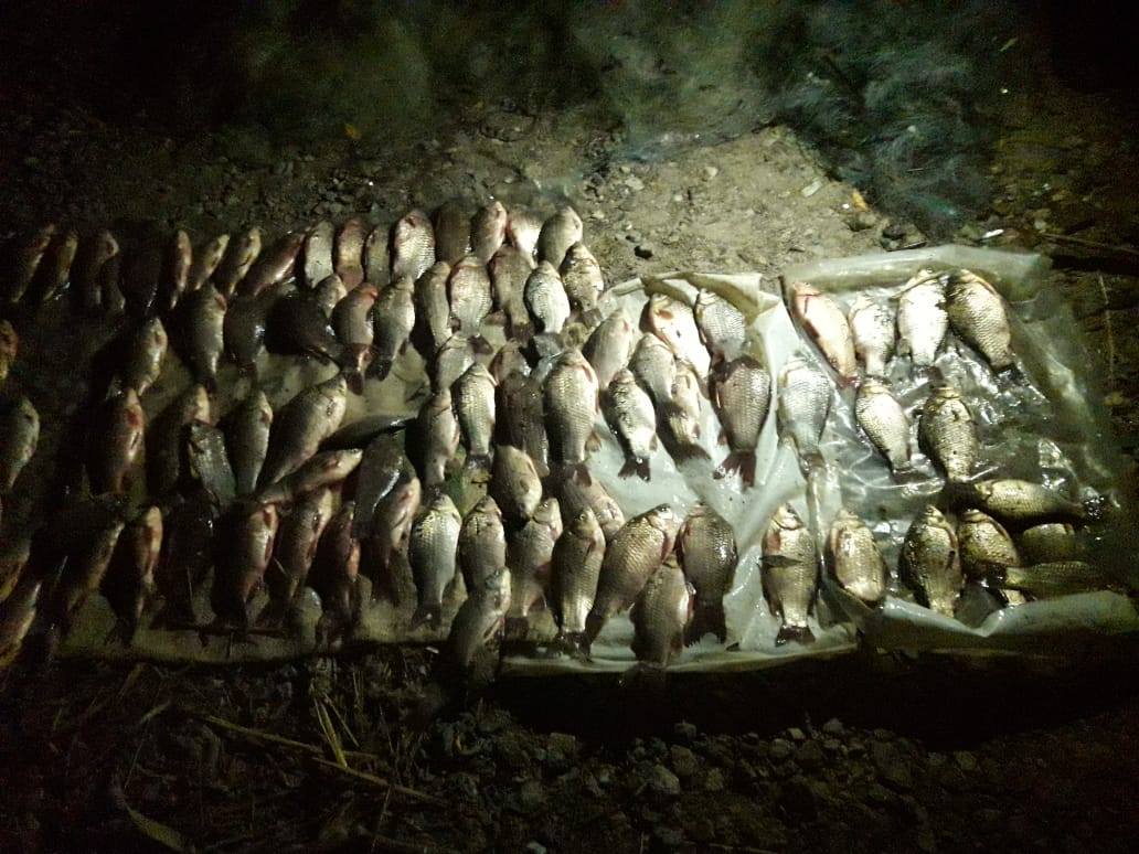 Браконьєрів за незаконний вилов риби затримали на Черкащині