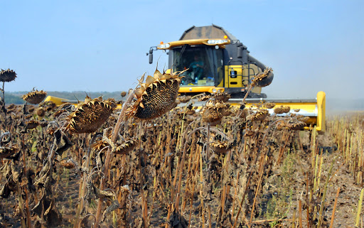 У Черкаській області продовжують збирати зернові та сіяти озимину