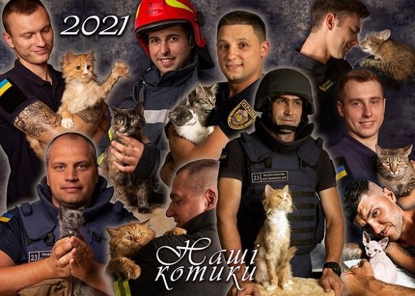 Черкаські рятувальники й безпритульні коти стали героями благодійного календаря (ФОТО)