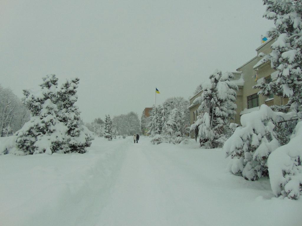 Погода на Черкащині: невеликий сніг, на дорогах ожеледиця