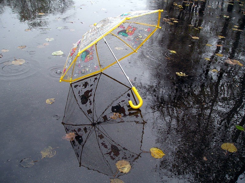 У понеділок на Черкащині прогнозують дощову, але теплу погоду