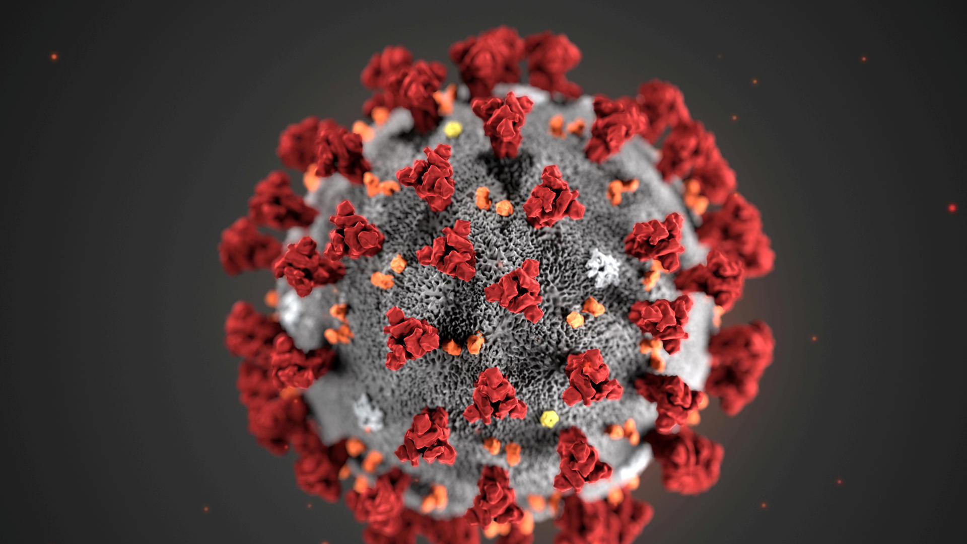 Понад 20 тисяч нових випадків за добу: поширення коронавірусу в Україні