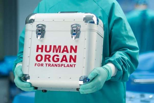 Зеленський підписав закон, який спрощує трансплантацію органів
