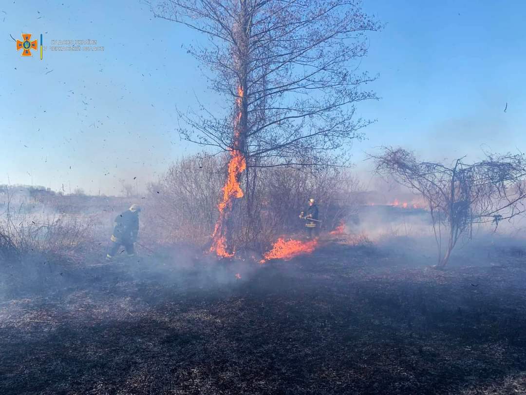 На Черкащині ліквідували 13 пожеж рослинності за минулу добу