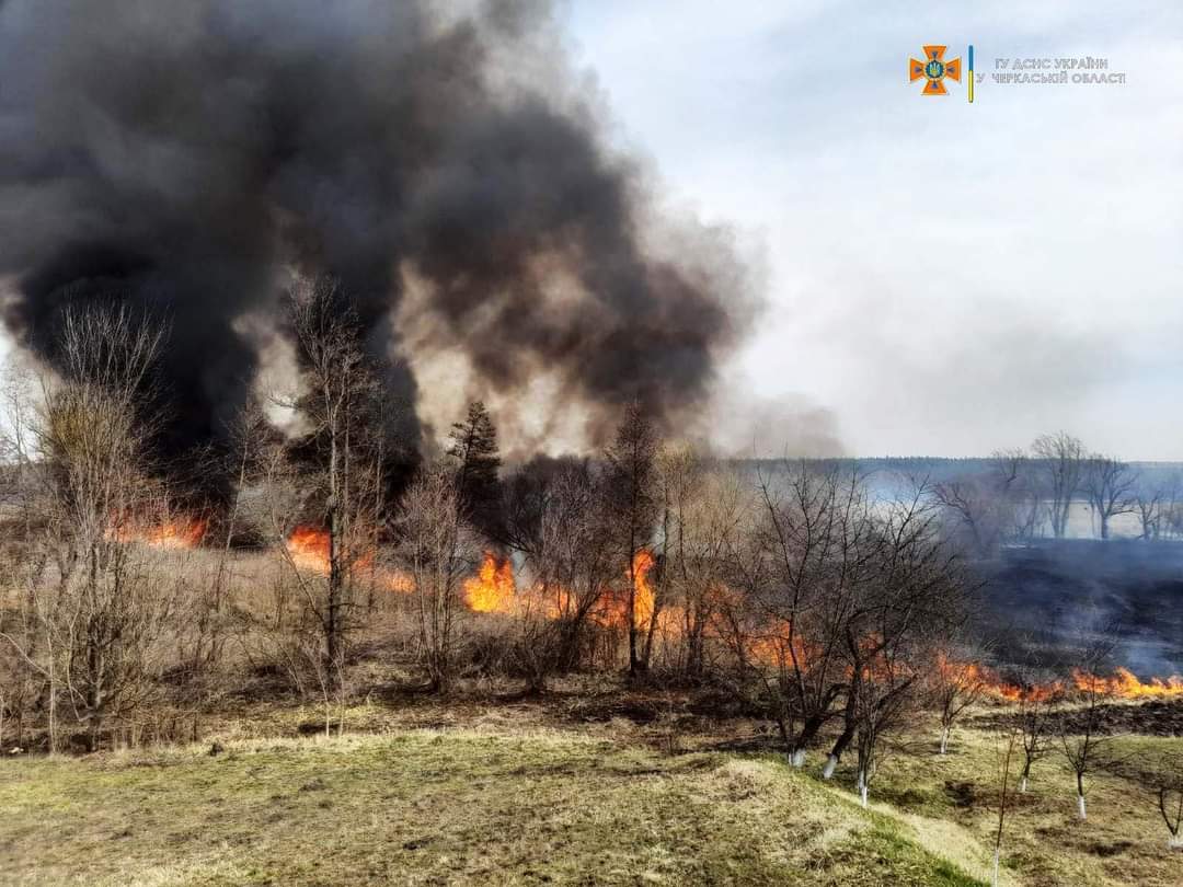 26 пожеж сухої рослинності ліквідували рятувальники в області за добу