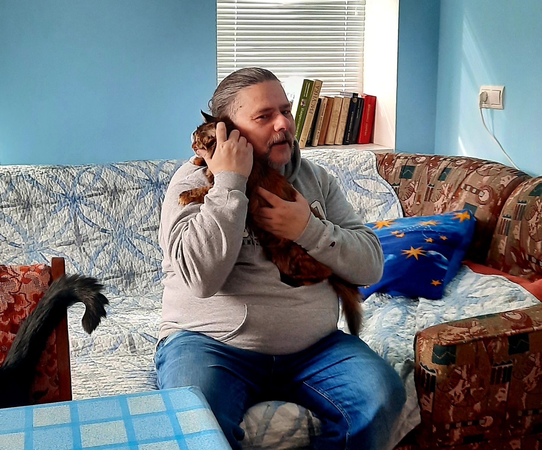 «Котики – це члени нашої родини»: у Черкаси із Краматорська приїхала сім’я із 11 улюбленцями