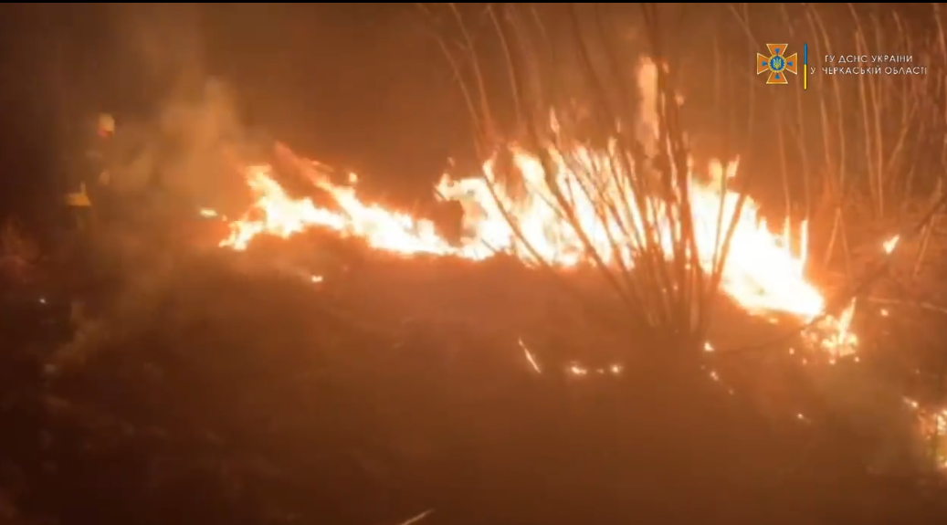 У Катеринополі сталася пожежа сухої трави (ВІДЕО)