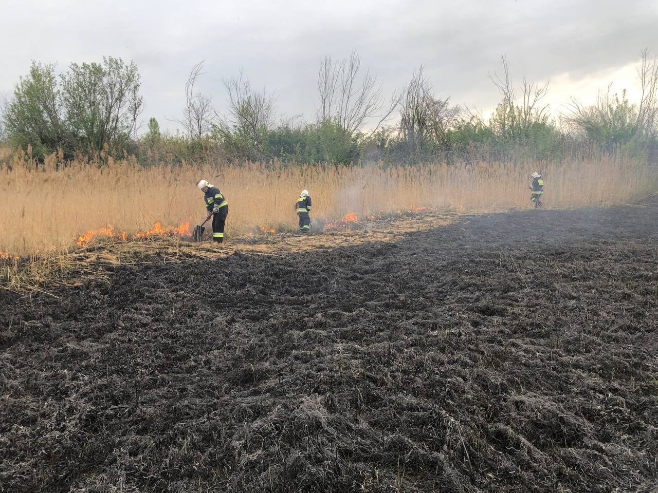 Вогнеборці у Черкасах ліквідували пожежу сухої трави