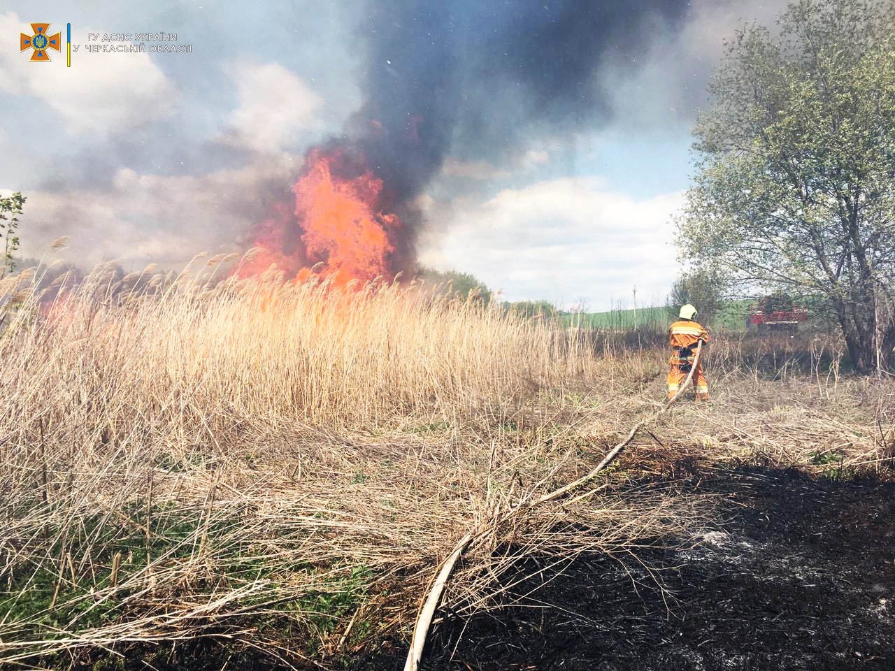 У неділю на Черкащині сталися 4 пожежі на відкритих територіях