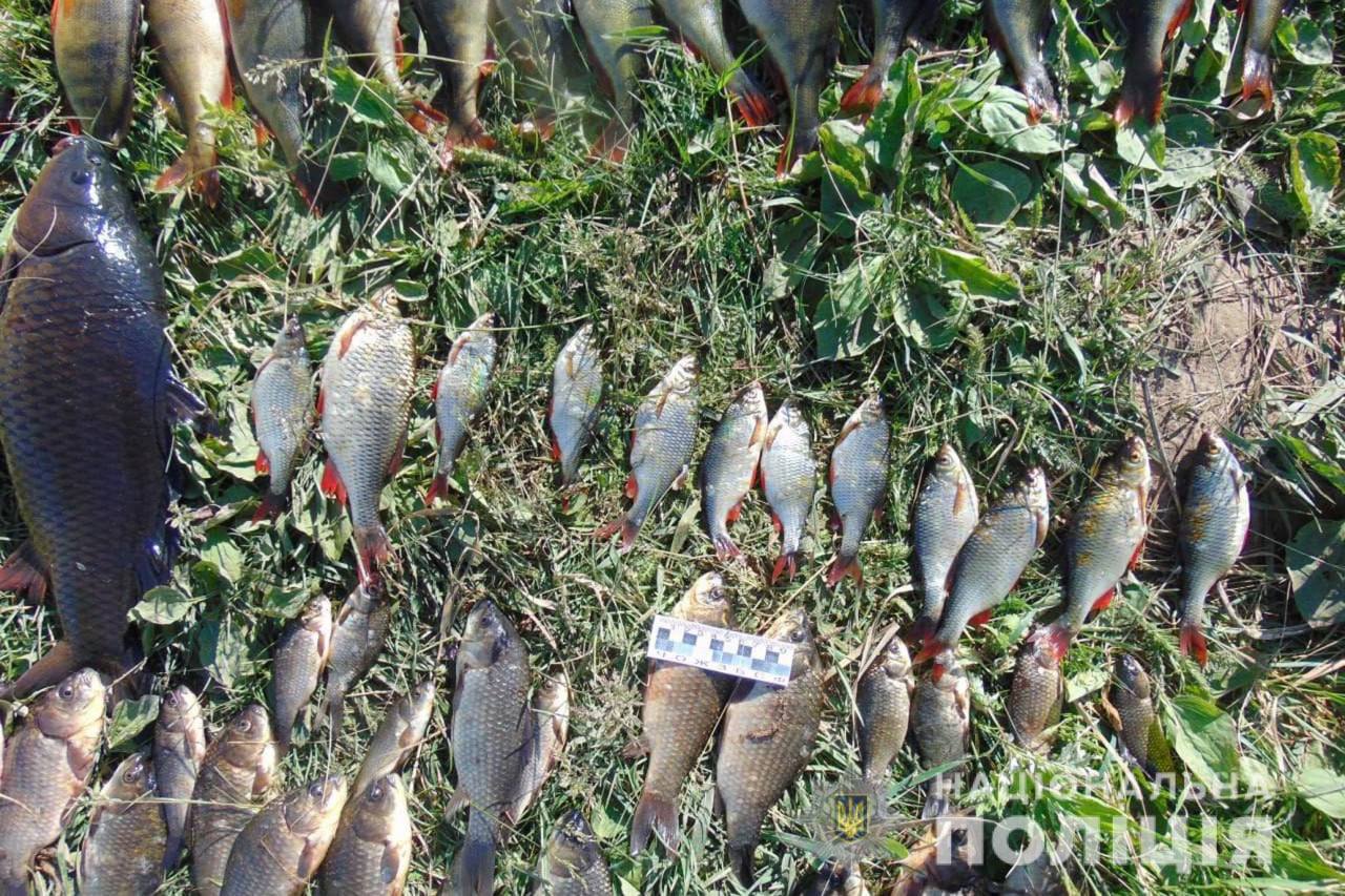 На Звенигородщині затримали чоловіка, який ловив рибу сітками