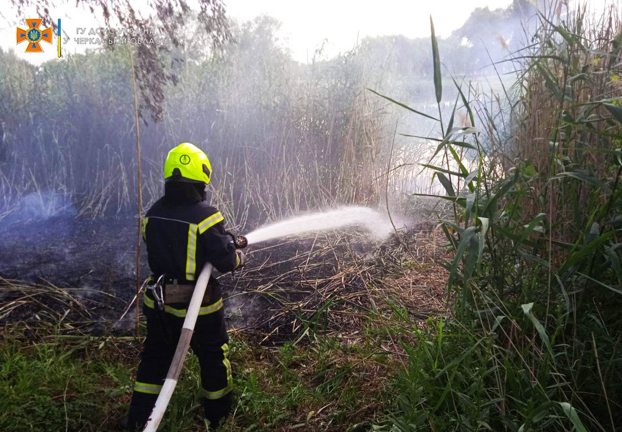 Сім пожеж сухої трави сталися в області за добу