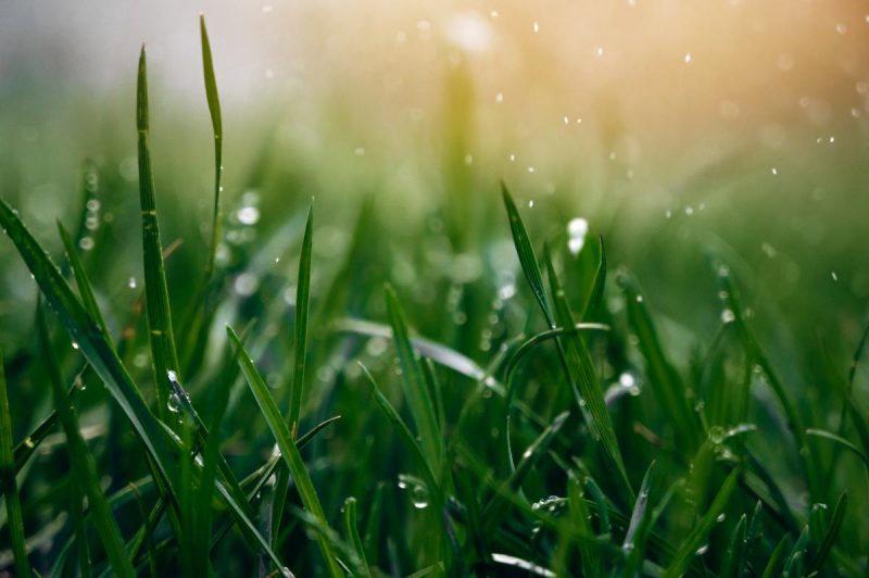 Дощі з грозами прогнозують у понеділок на Черкащині