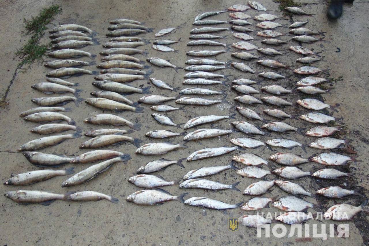 Сума збитків понад 260 тис. грн: у Каневі поліція затримала рибалку-порушника