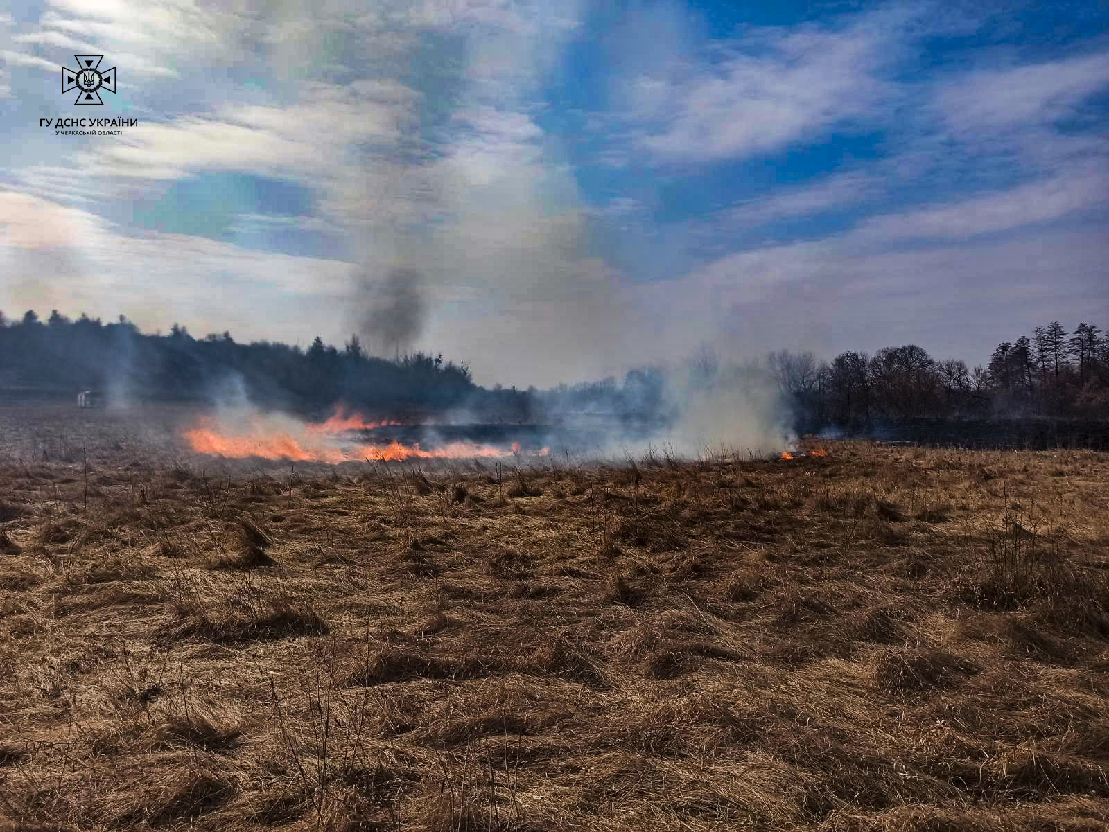 5 пожеж за добу: в області горіли суха трава та очерет