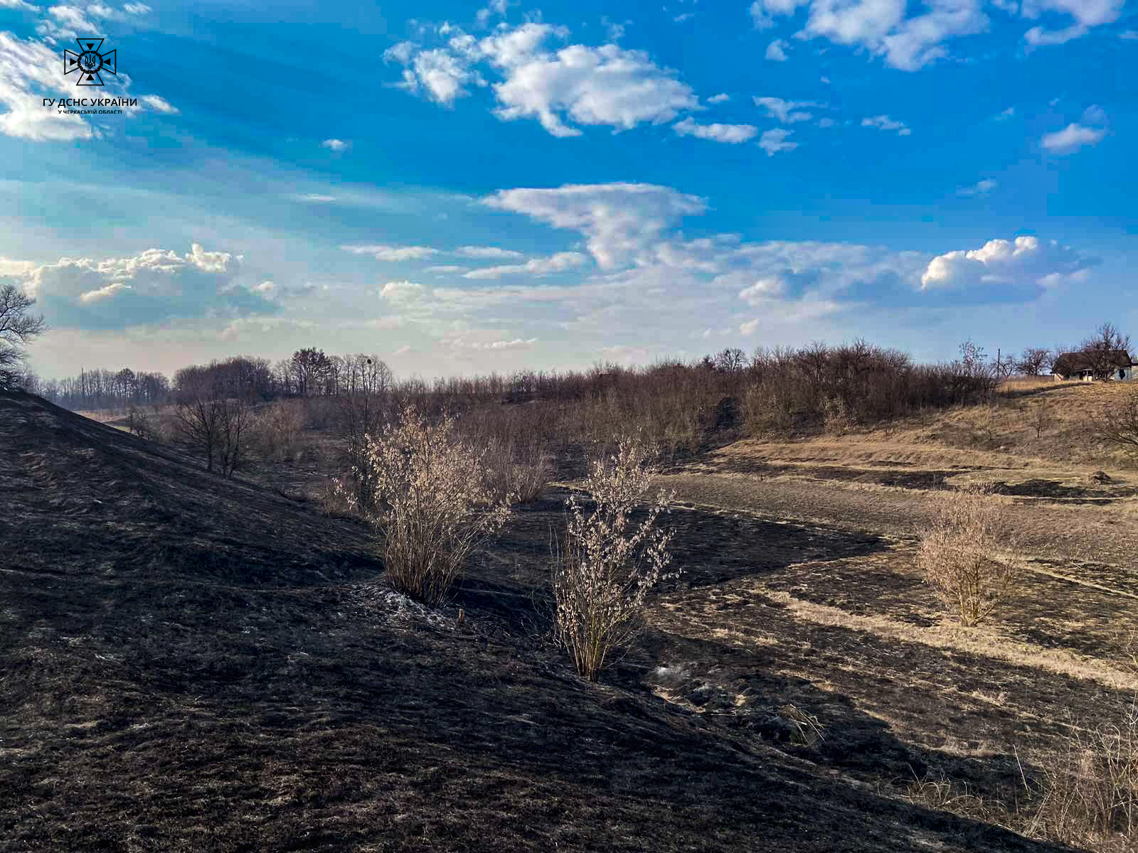 Рятувальники тричі ліквідували пожежі сухої рослинності в області