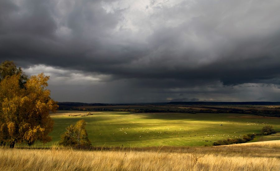 Погода нагадає ранню осінь: прогноз на найближчі дні в Черкаській області