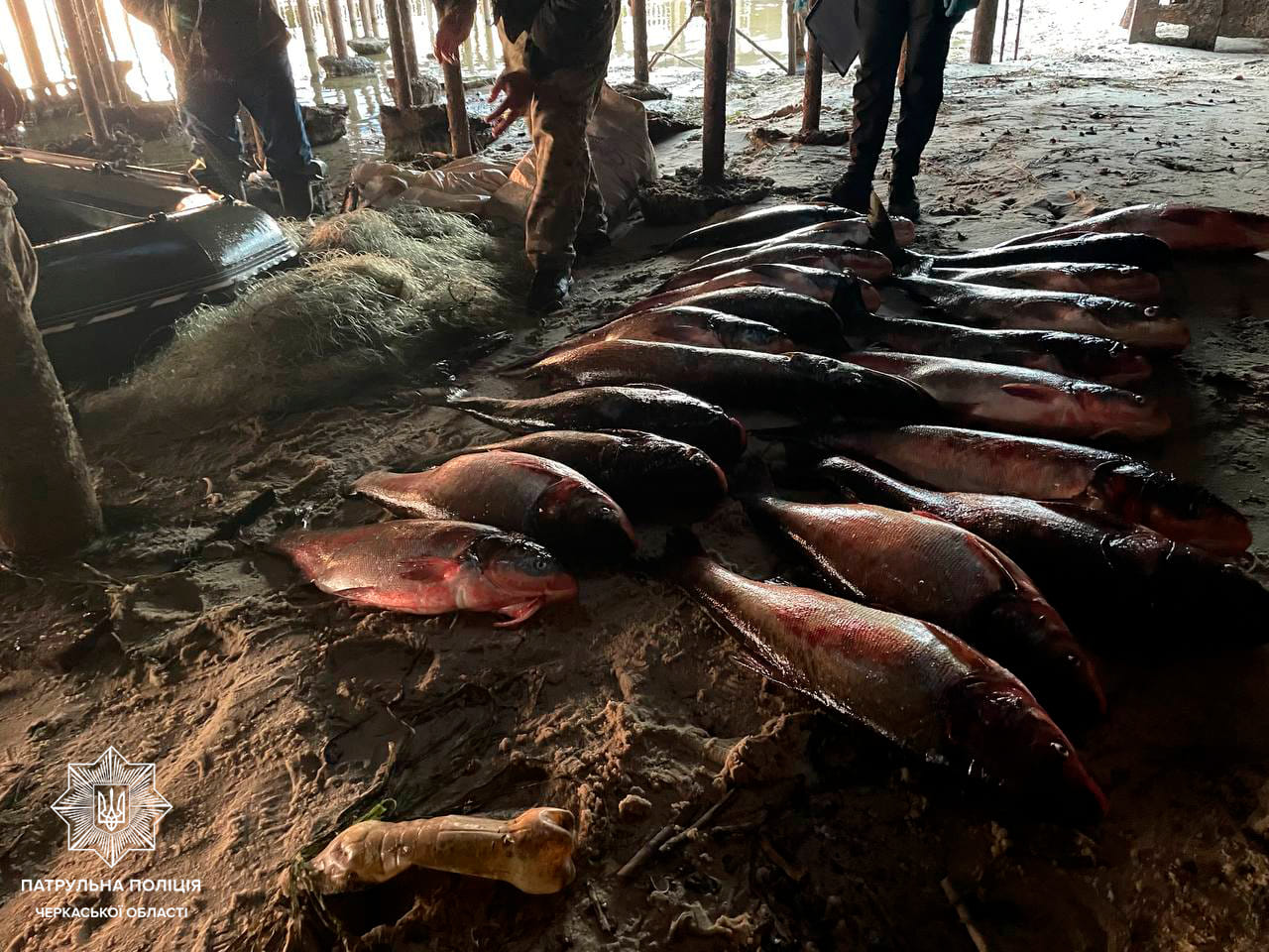 Черкащан, які наловили риби на 80 тис. грн, виявили правоохоронці