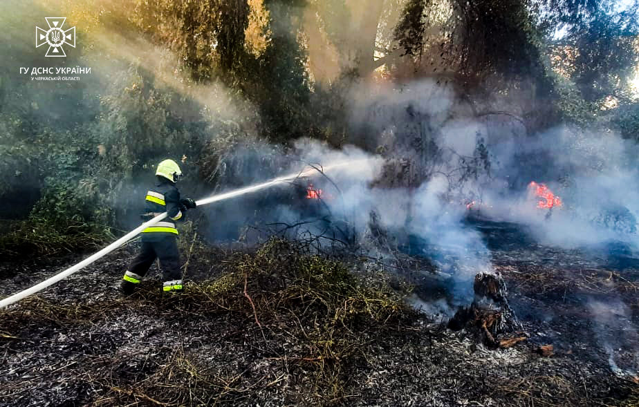 У неділю на Черкащині сталися 7 пожеж на відкритих територіях