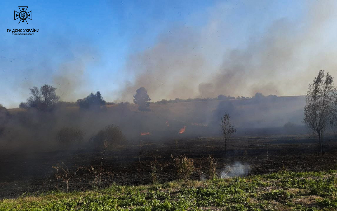Загорілася суха трава на площі 2 га: на Звенигородщині сталася масштабна пожежа