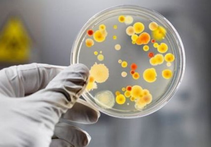 За тиждень на Черкащині зафіксували 61 випадок захворювань на гострі кишкові інфекції