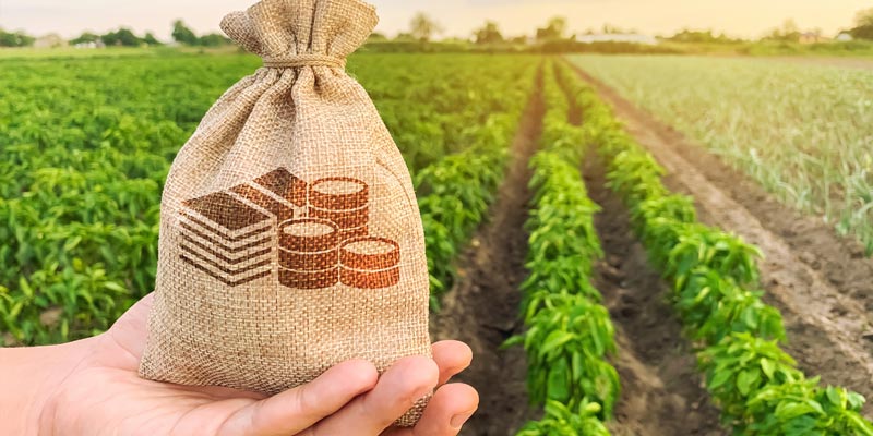 Понад 5 млн грн кредитів залучили черкаські аграрії на розвиток господарств