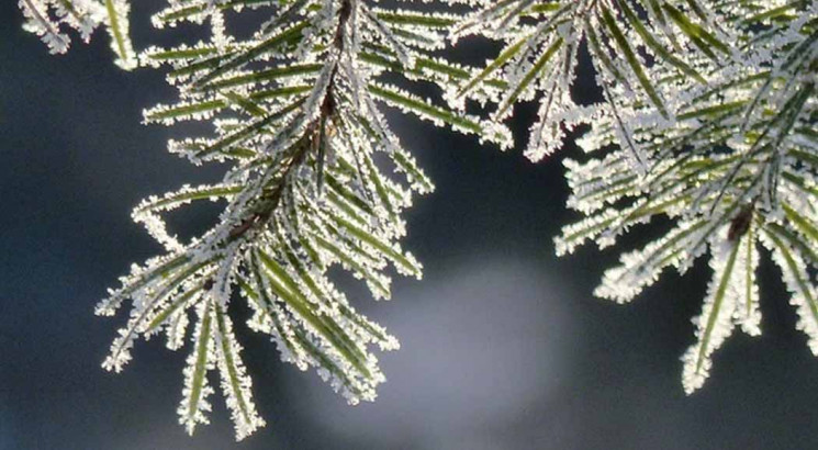 У Черкаській області прогнозують мокрий сніг та морози