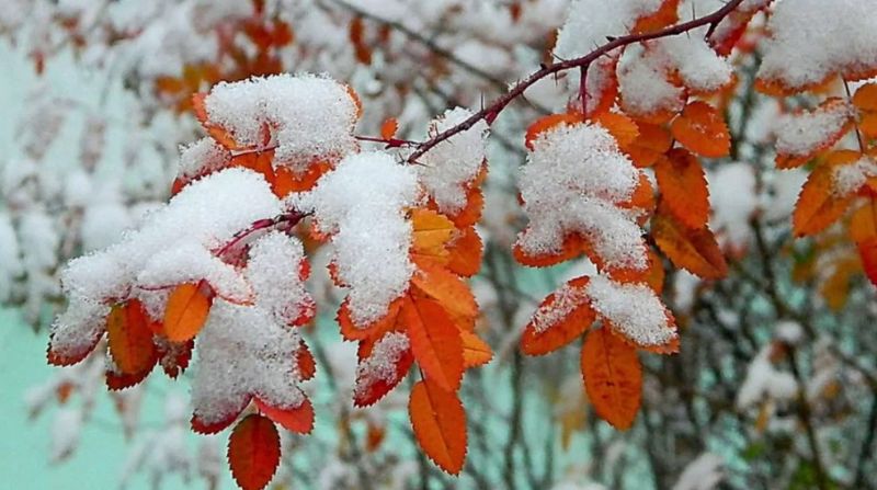 Хмарно, місцями сніг: прогноз погоди на Черкащині у вівторок