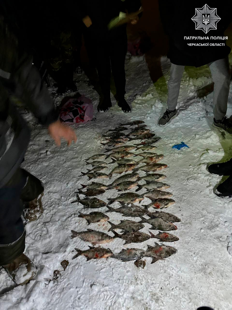 На понад 90 тис. грн наловили риби браконьєри в Черкасах