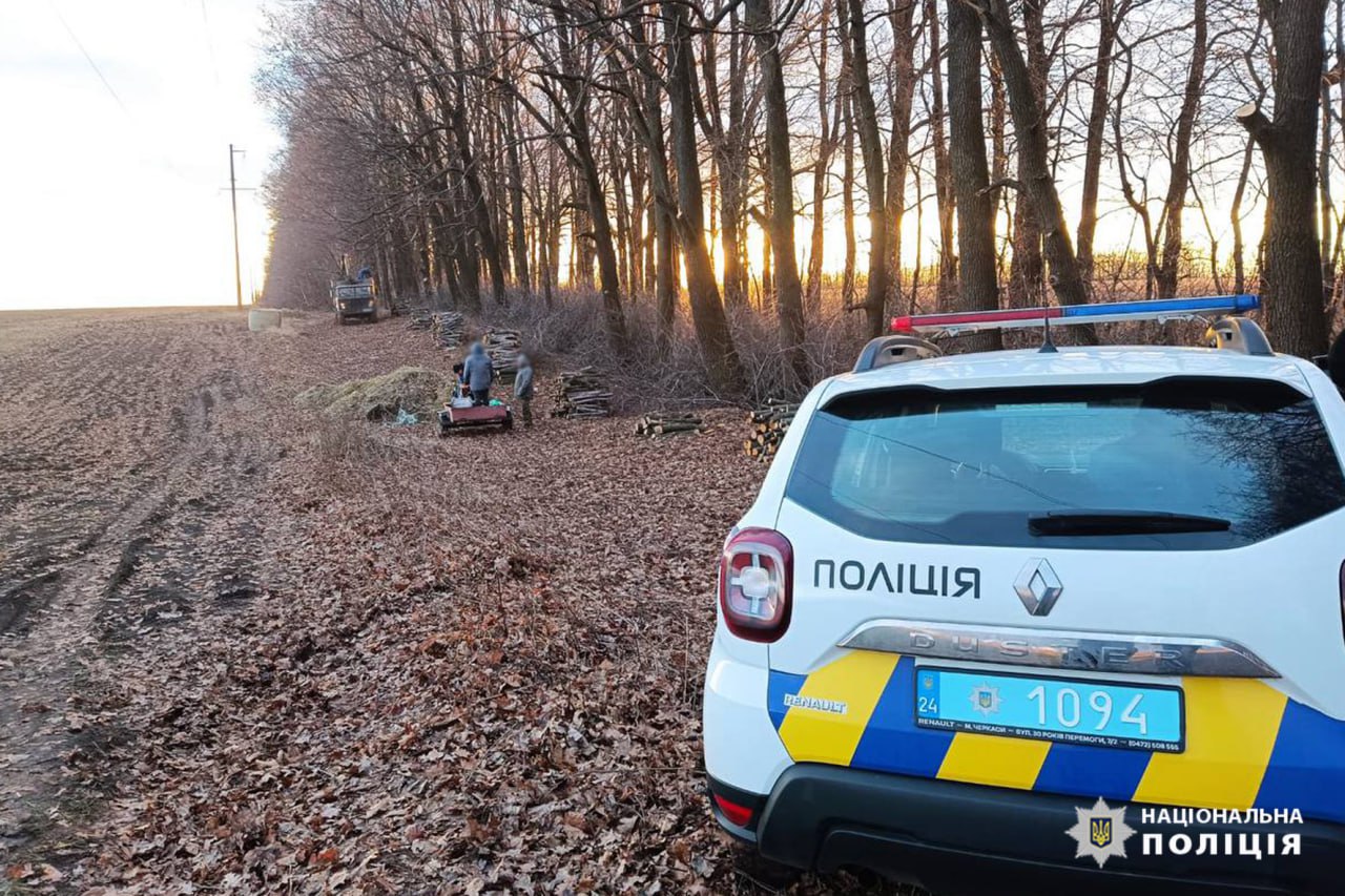 Черкаські поліцейські протягом року виявили більш як сотню фактів незаконної порубки дерев