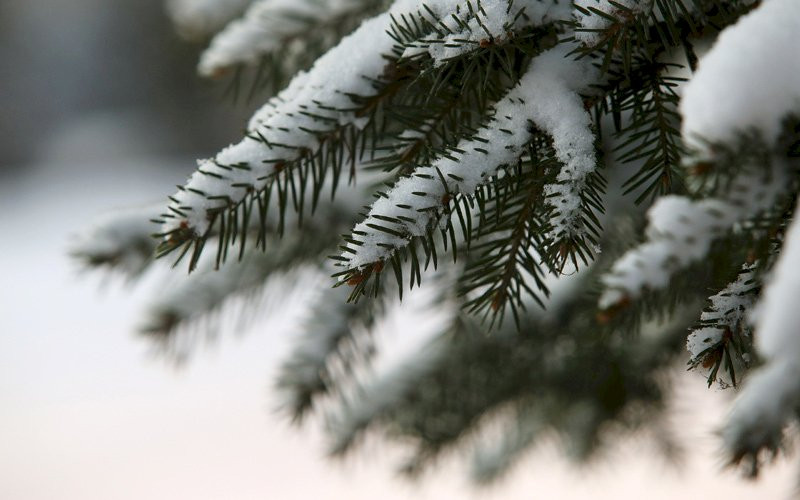 На вихідних у Черкаській області прогнозують невеликі опади та сніг