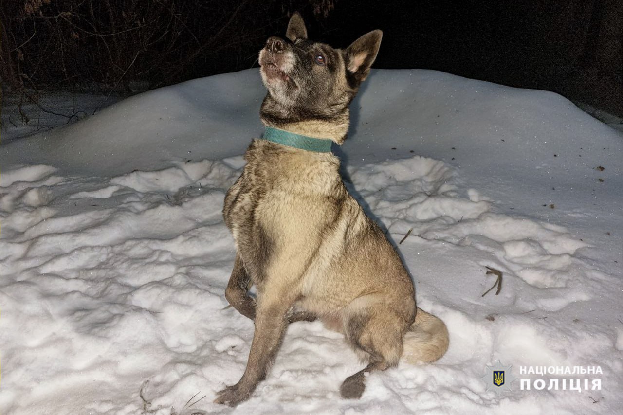 Замерзав у сніговому заметі: поліцейські та службова собака врятували черкащанина