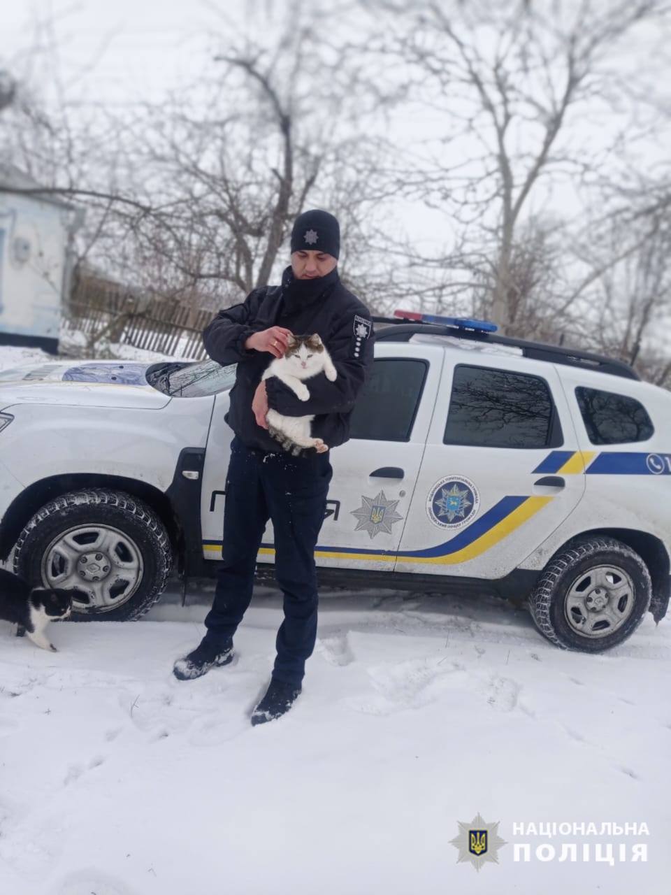 Поліцейський офіцер громади на Звенигородщині врятував котика