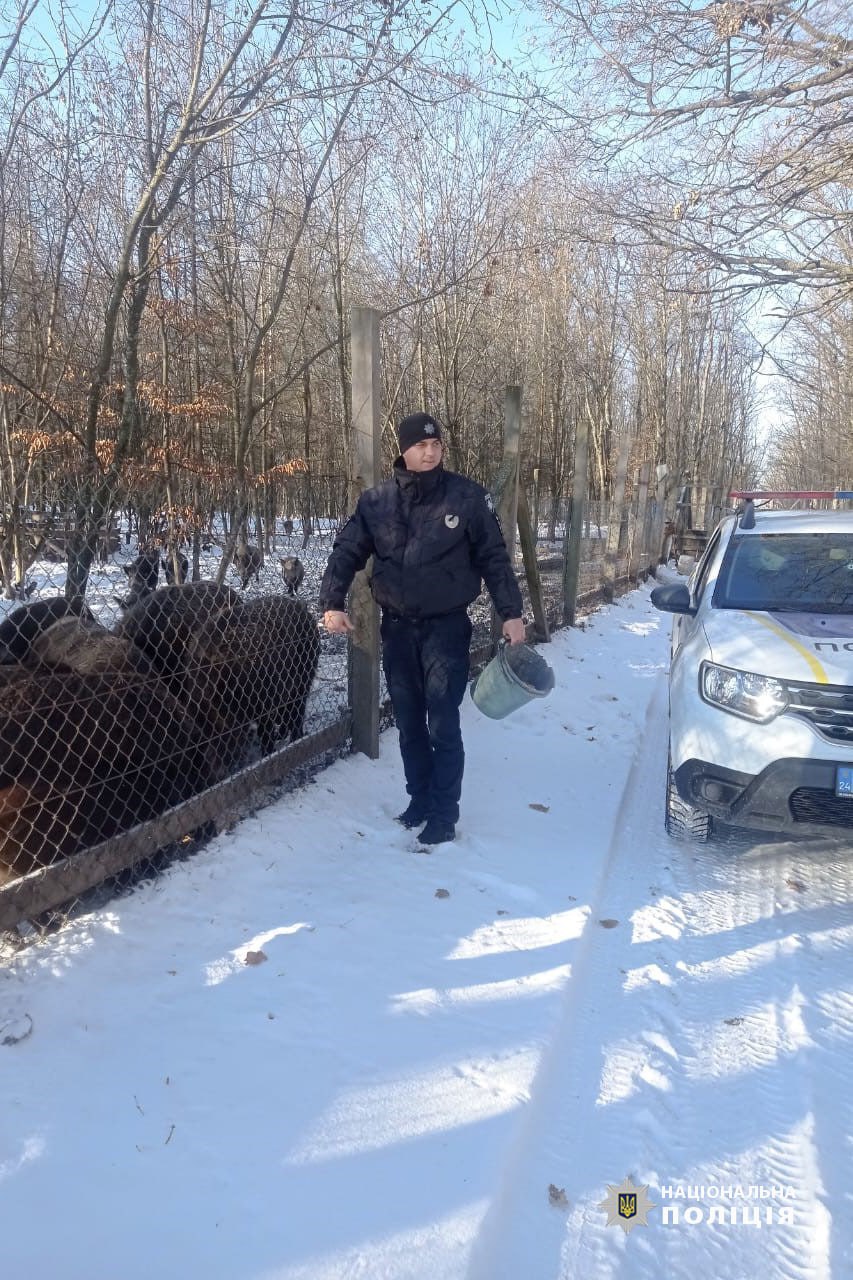 Поліцейський офіцер громади на Звенигородщині підгодовує диких тварин