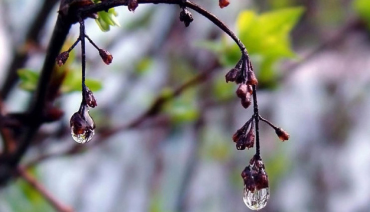 На Черкащині прогнозують невеликі дощі